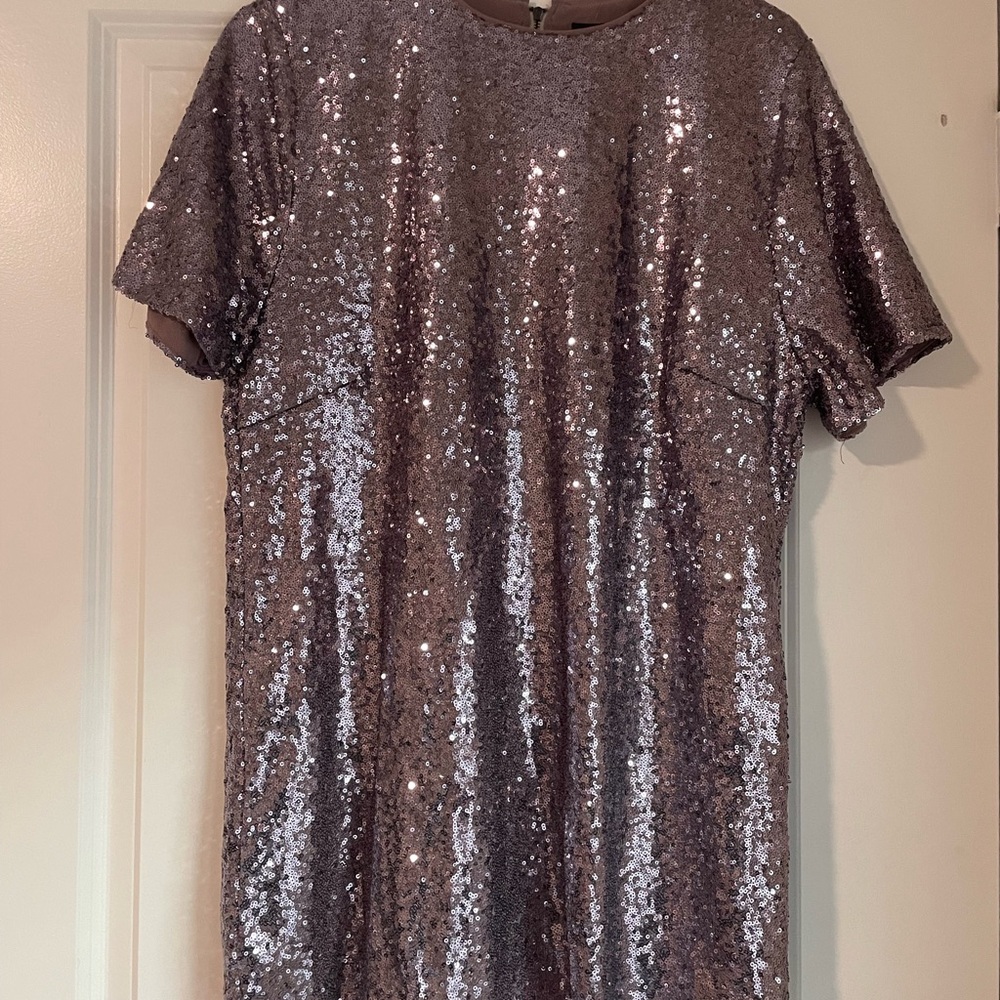 Sequin Short Sleeve Dress